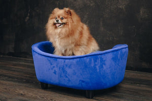 Luxury Memory Foam Dog Bed