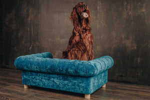 Luxury Large Dog Bed with Orthopedic Memory Foam