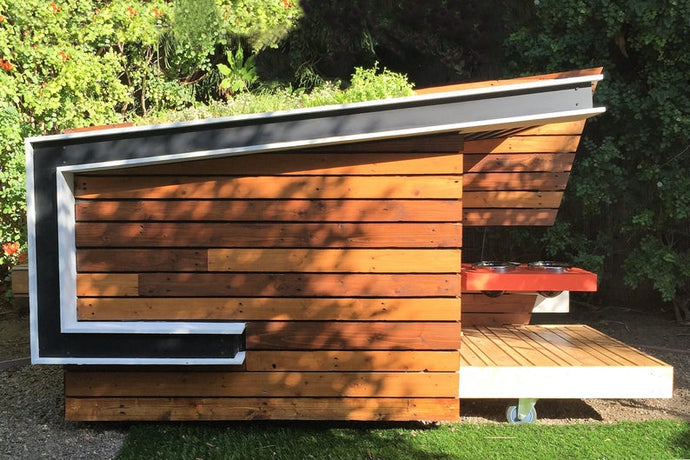 Modern Dog House