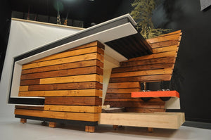 Modern Dog House