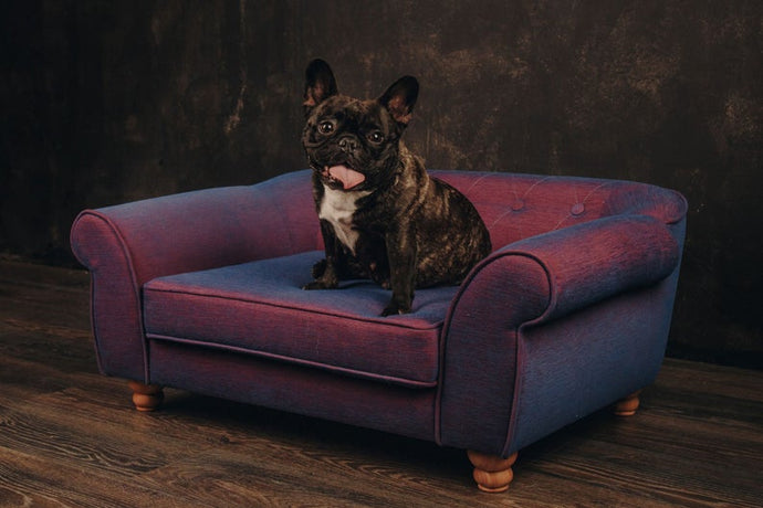 Luxury Large Dog Bed with Orthopedic Memory Foam