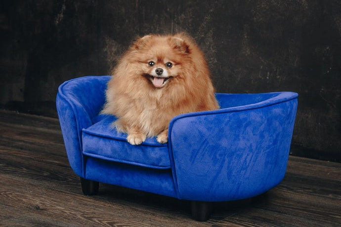 Luxury Memory Foam Dog Bed