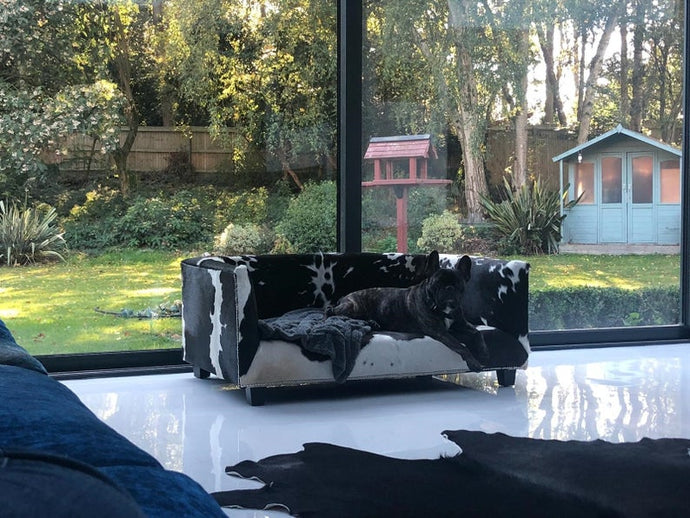 Luxury Genuine Cowhide Covered Dog Bed with Memory Foam