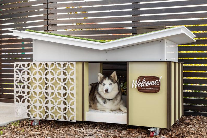 Modern Dog House Butterfly House