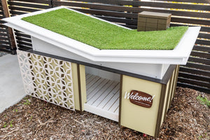 Modern Dog House Butterfly House